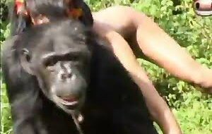 Sexo com peituda deliciosa de buceta lisinha - Mulheres transando com macaco